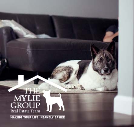 houses in ontario mylie group real estate