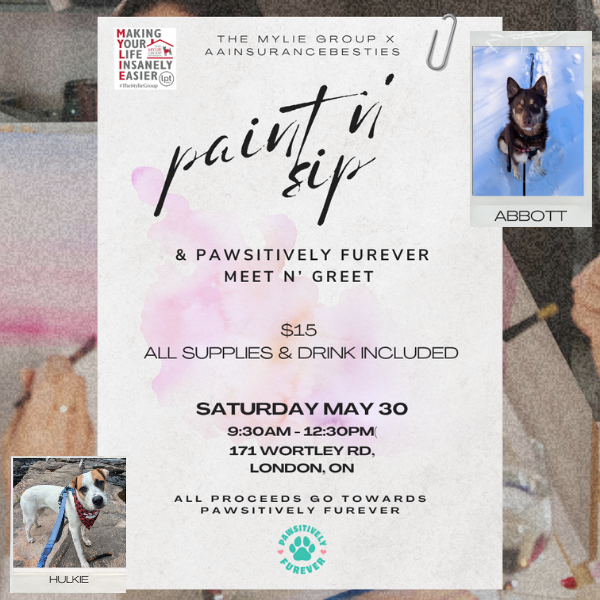 Paint n' Sip Pawsitively Furever Social media post (600x600)
